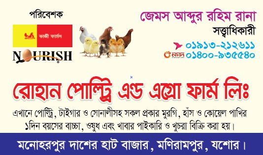 পোল্ট্রি খাতে অস্থিরতা: প্রান্তিক খামারিকে বাঁচানো এখন রাষ্ট্রের নৈতিক দায়িত্ব