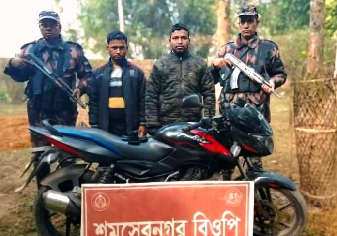 ভারতীয় গরু চোরাচালানের চেষ্টা কালে  বিজিবি কতৃক দুই জন আটক।