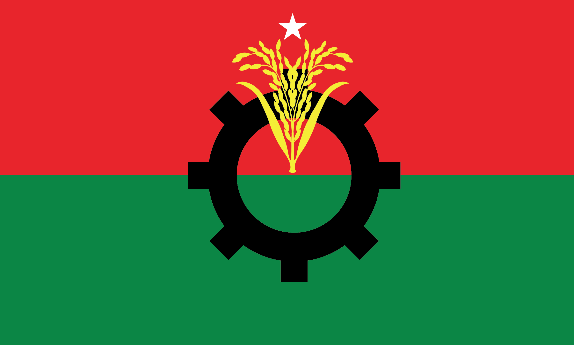 জামালপুরের পাঁচটিতে বিএনপির জয়
