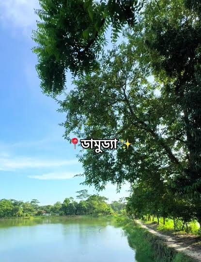 বিএনপির ৬ সমর্থকে কোপালো ছাত্রলীগ