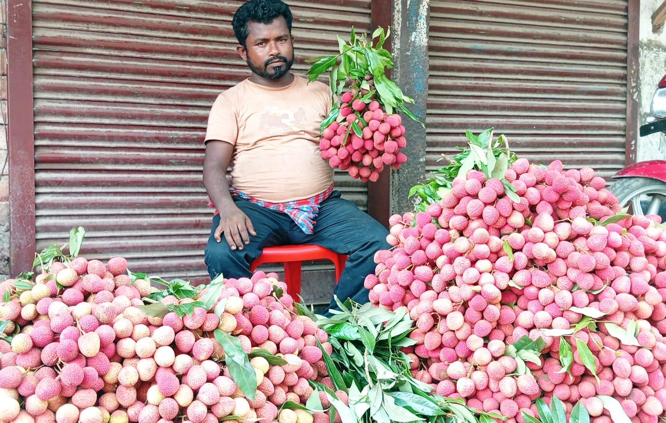 পাঁচবিবি বাজার মধুমাসের লিচুতে সয়লাব
