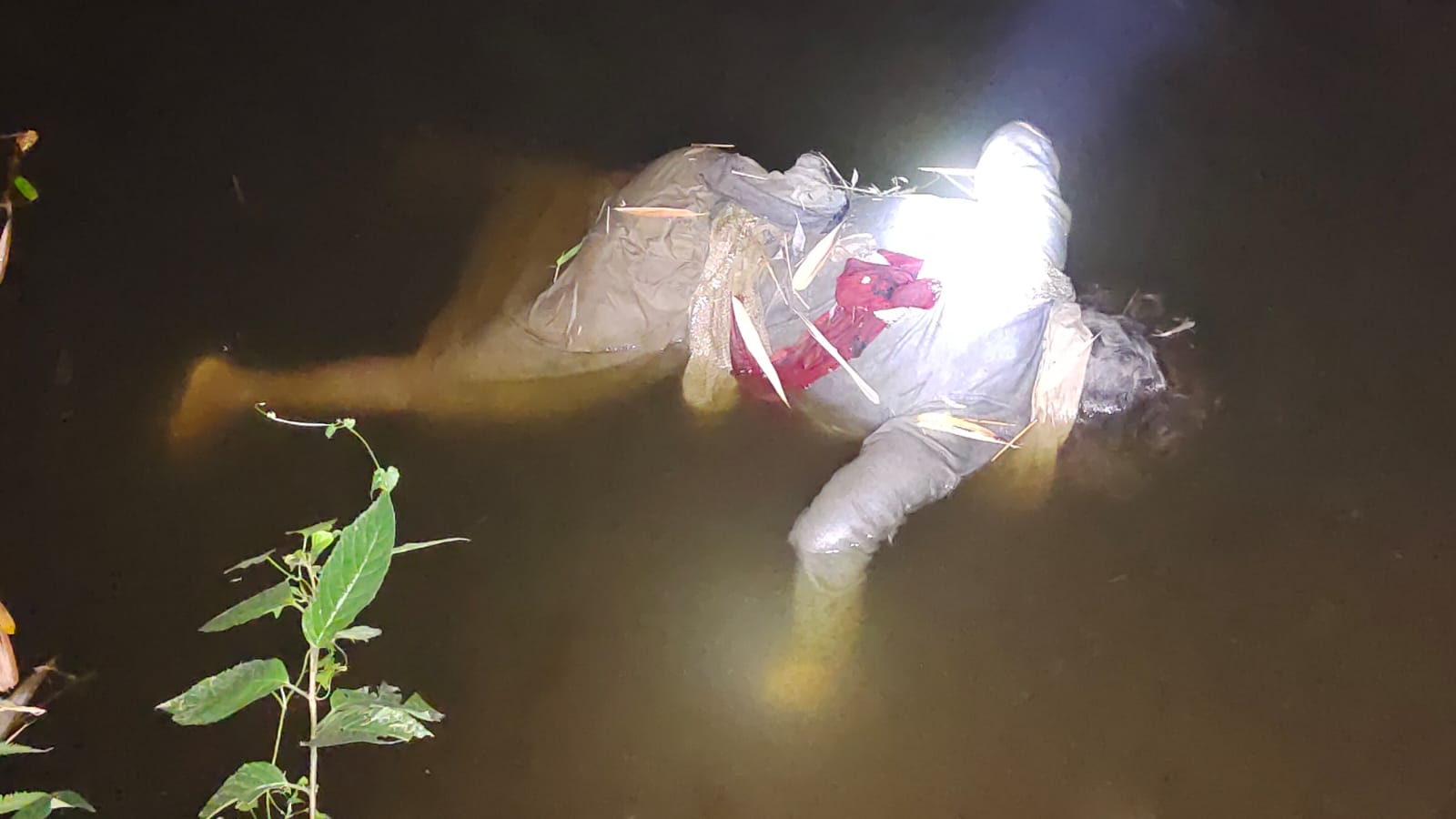 নিখোঁজের ৪ দিন পর, পুকুর থেকে বৃদ্ধার লাশ উদ্ধার
