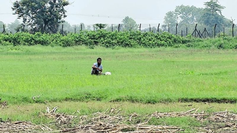 জামালপুরে পুশইনের চেষ্টা, বিজিবির বাধায় শূন্যরেখায় যুবক