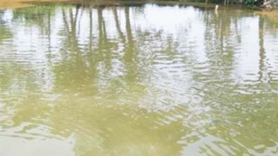 ময়মনসিংহে পুকুরে ডুবে দুই বোনের মৃত্যু