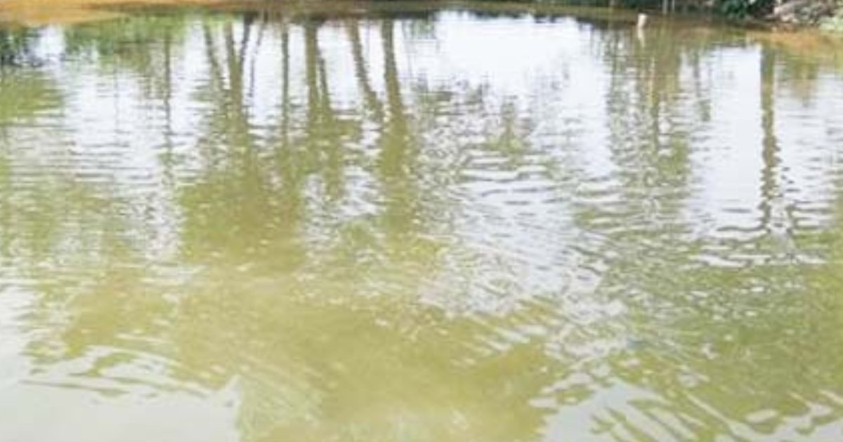 ময়মনসিংহে পুকুরে ডুবে দুই বোনের মৃত্যু