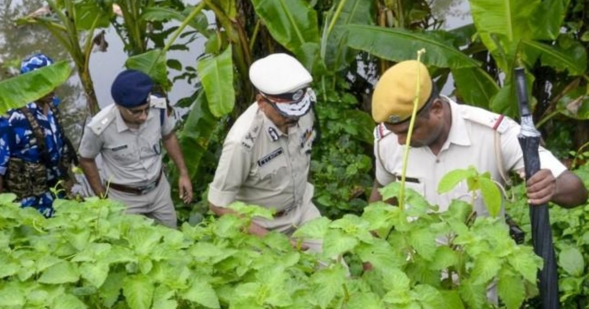 বারুইপুরে শিশু ধর্ষণ ও হত্যার প্রধান অভিযুক্ত বন্দুকযুদ্ধে নিহত