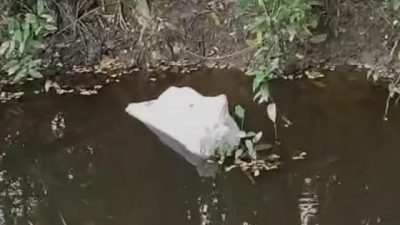 কুমিল্লার বরুড়ায় খালে মৃত কুকুরের বস্তা নিয়ে আতঙ্ক সৃষ্টি