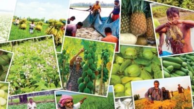 খাদ্য নিরাপত্তায় সরবরাহ ব্যবস্থার চ্যালেঞ্জ ও সম্ভাবনা