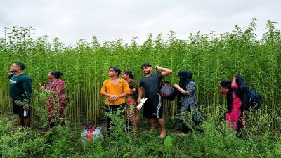 কুষ্টিয়া সীমান্তে ৮ জনের পুশ ইন প্রতিহত, বিজিবির কঠোর নজরদারি