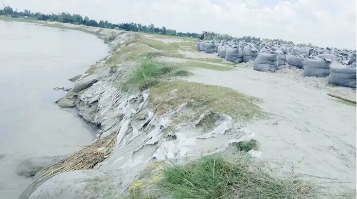 তিস্তা নদীর ভাঙনে কালিগঞ্জ খেয়াঘাট রক্ষা বাঁধ হুমকির মুখে