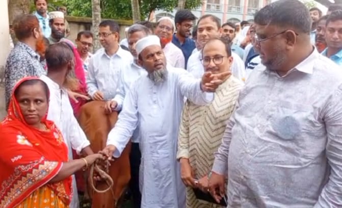 পাঁচবিবিতে গবাদি পশু বিতরণ