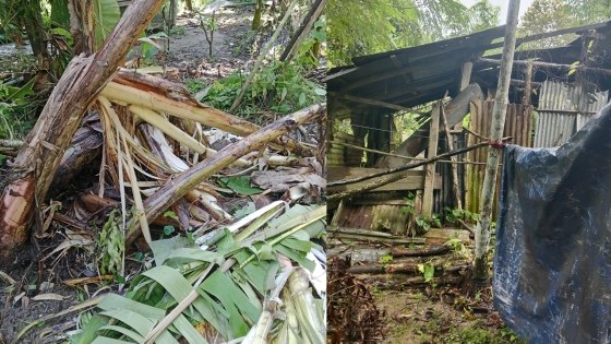 কাপ্তাইয়ে বন্য হাতির আক্রমণ: স্থানীয়দের উদ্বেগ ও নিরাপত্তাহীনতা