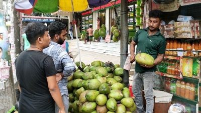 ব্রাহ্মণবাড়িয়ায় ডাবের বাজার দেড় কোটিতে, ব্যবসার প্রসার