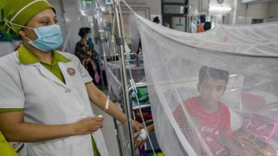 ২৪ ঘণ্টায় ডেঙ্গুতে আরও ৩ মৃত্যু, হাসপাতালে ভর্তি ৭৫৩