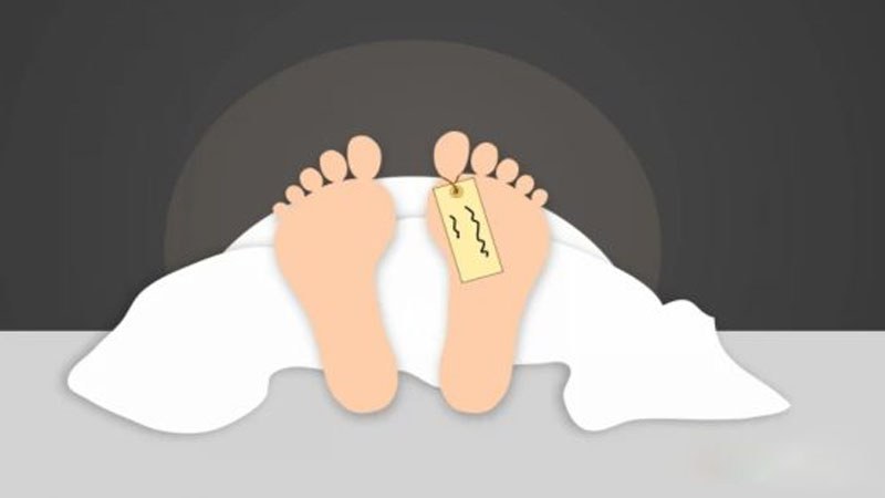 সাতক্ষীরায় সাপে কামড়ানো শিশুর মৃত্যু, কবিরাজের কাছে নেওয়ার চেষ্টা