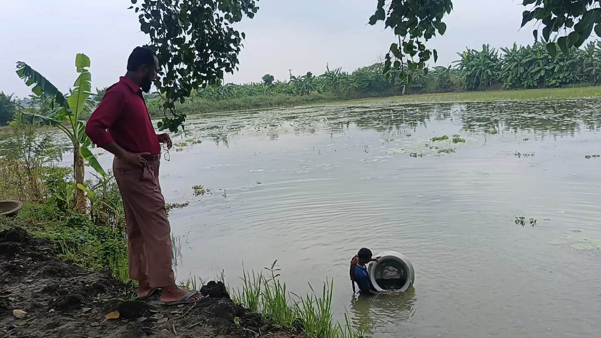 বালিয়াকান্দিতে মিশ্র মৎস্য চাষে ঝুঁকেছেন কৃষক নিজামুদ্দিন