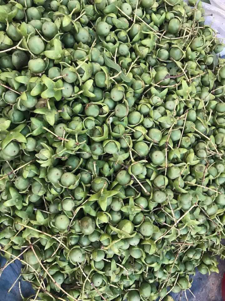 ডুমুরিয়ায় আইন-শৃঙ্খলার চরম অবনতি: চুরি-ছিনতাই নিত্যদিনের ঘটনা