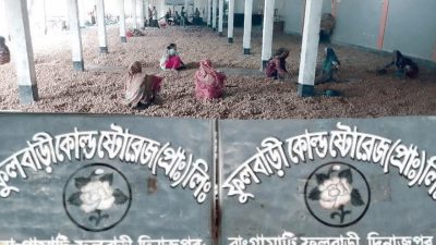 দিনাজপুরে দেড় লাখ বস্তা আলু হিমাগারে আটকা