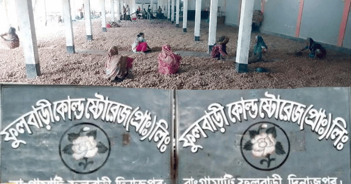 দিনাজপুরে দেড় লাখ বস্তা আলু হিমাগারে আটকা