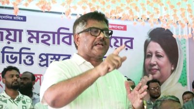 ভারতের কাছে হুইপ দুলুর আবেদন: শেখ হাসিনাকে আশ্রয়-প্রশ্রয় না দিতে