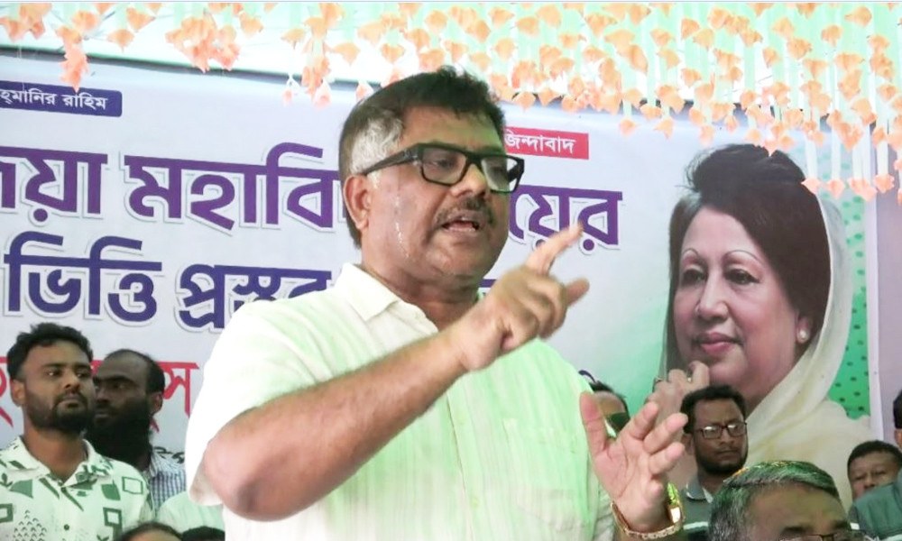 ভারতের কাছে হুইপ দুলুর আবেদন: শেখ হাসিনাকে আশ্রয়-প্রশ্রয় না দিতে