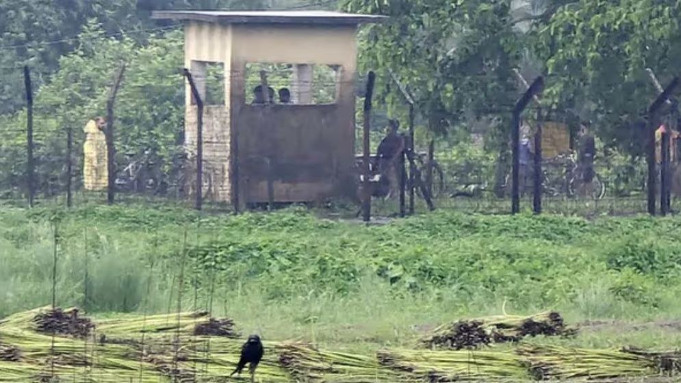 মেহেরপুরে বাংলাদেশিকে ধরে নিয়ে যাওয়ায় দুই ভারতীয় নাগরিক আটক