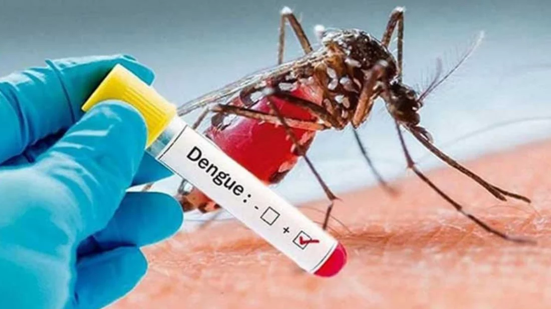 ডেঙ্গুতে আরও ৬ মৃত্যু, হাসপাতালে ভর্তি ১,৪৯২
