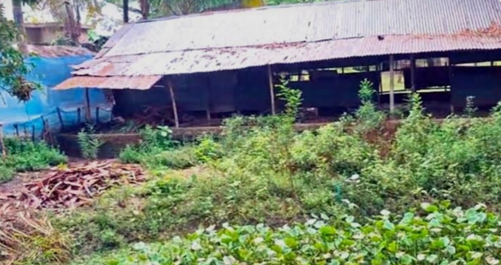 মনিরামপুরে এমপিওর আবেদন করা ২৮ প্রতিবন্ধী বিদ্যালয়ের অধিকাংশেরই অস্তিত্ব নেই
