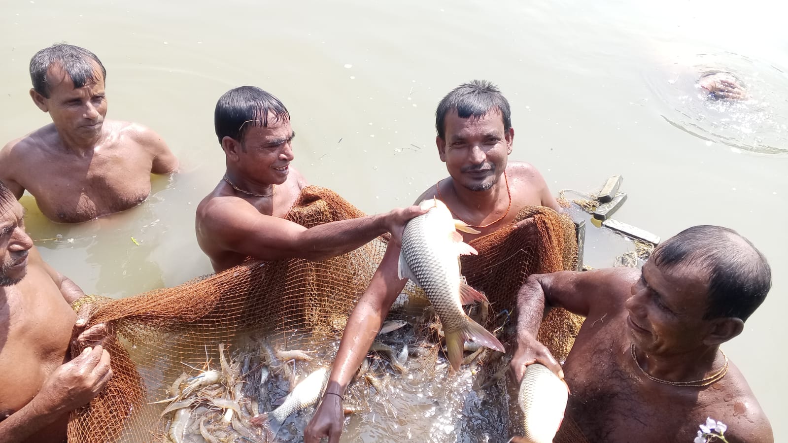 পুশবিরোধী অভিযান: ১০০ কেজি চিংড়ি জব্দ, ১০ হাজার টাকা জরিমানা