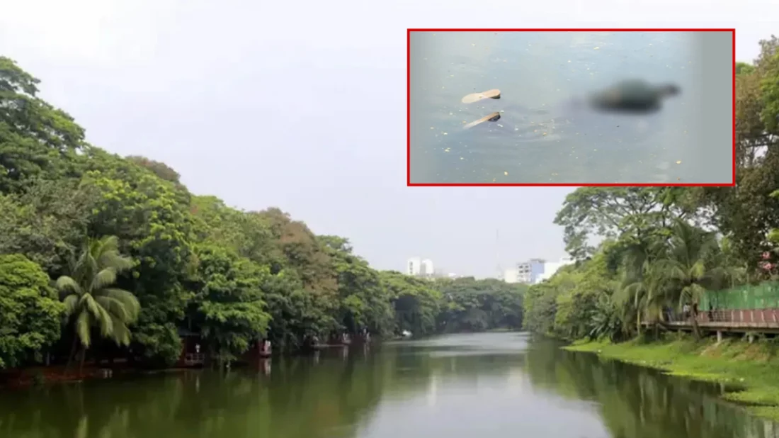 ধানমন্ডি লেকে ভাসছিল ৫১ বছরের ব্যক্তির মরদেহ