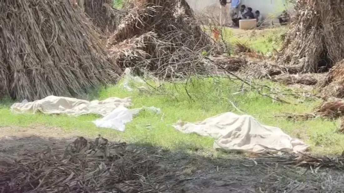দুই ছেলেকে হত্যার অভিযোগে মা গ্রেপ্তার