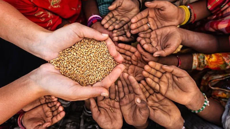 দেশে খাদ্য সংকটের ঝুঁকিতে ১ কোটি ৮১ লাখ মানুষ