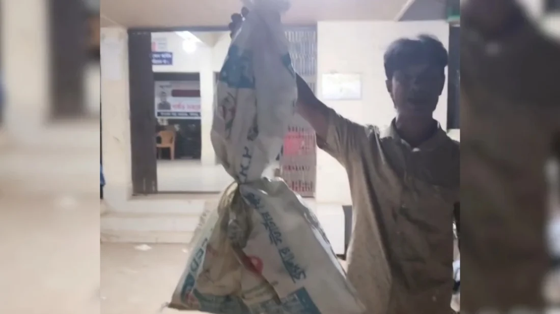 সাপের কামড়ের পর সাপ ধরে হাসপাতালে, বিষধর নয় বলে জানালেন চিকিৎসক