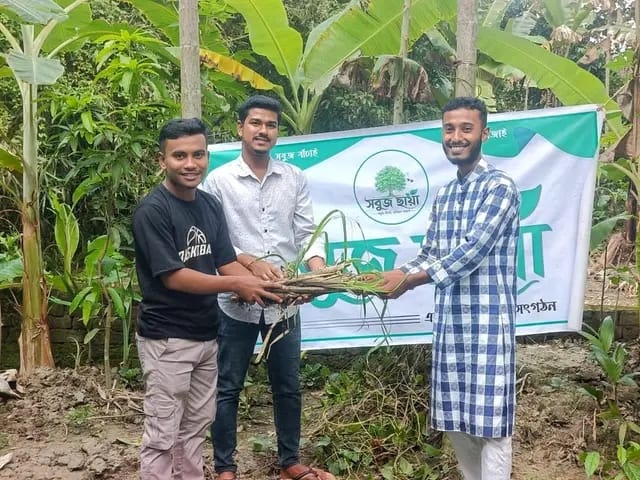 আমতলীতে তরুণ উদ্যোক্তা গড়তে ২০০ আখের চারা বিতরণ করল সবুজ ছায়া যুব সংগঠন