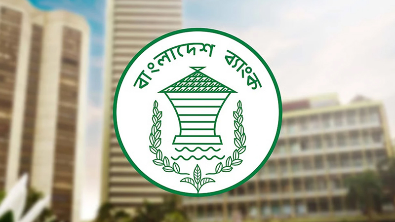 সাইবার হামলার ঝুঁকি এড়াতে সাময়িক বন্ধ বাংলাদেশ ব্যাংকের ওয়েবসাইট